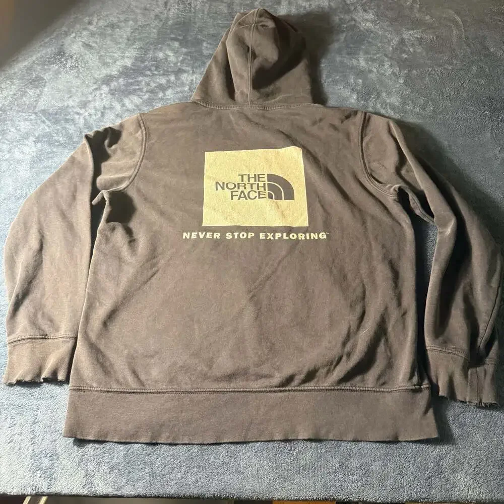 The North Face Men's Never Stop Exploring Pullover Hoodie